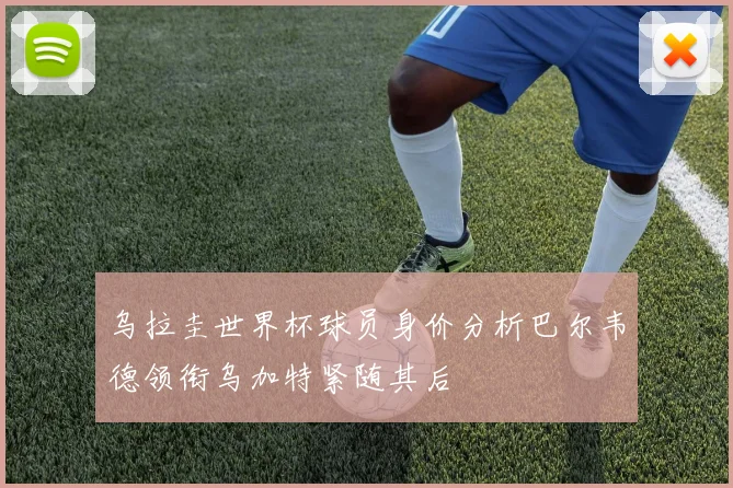 乌拉圭世界杯球员身价分析巴尔韦德领衔乌加特紧随其后